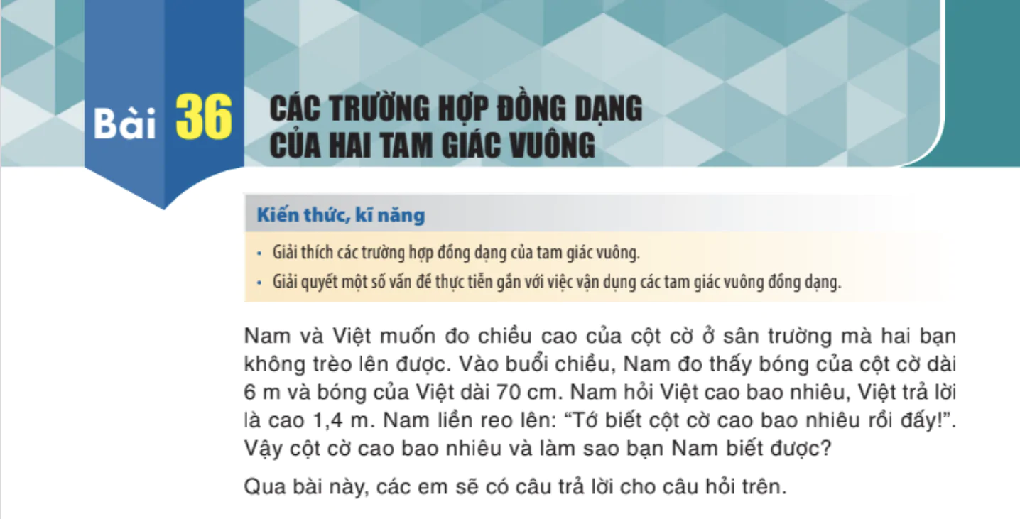 bai-36-cac-truong-hop-dong-dang-cua-hai-tam-giac-vuong-922