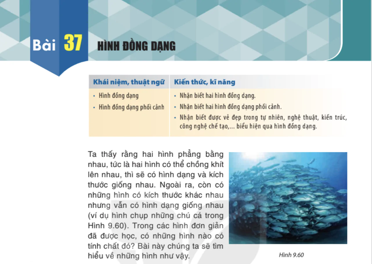 bai-37-hinh-dong-dang-923