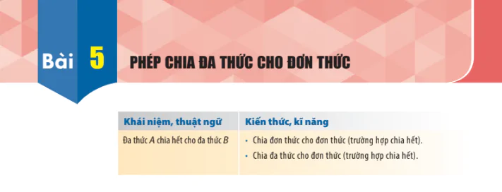 bai-5-phep-chia-da-thuc-cho-don-thuc-655