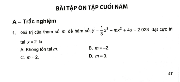 bai-tap-on-tap-cuoi-nam-862