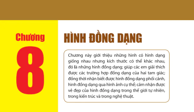 chuong-8-hinh-dong-dang-743