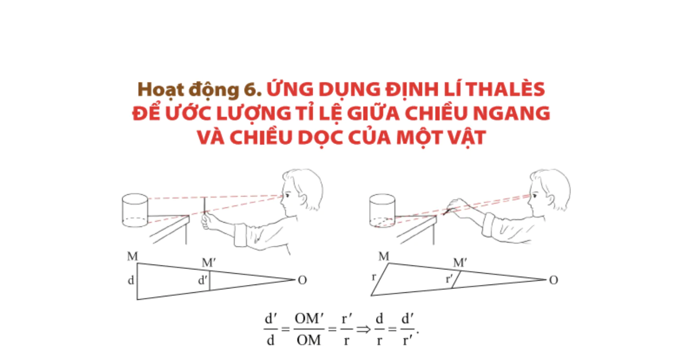 hoat-dong-6-ung-dung-dinh-li-thales-de-uoc-luong-ti-le-giua-chieu-ngang-va-chieu-doc-cua-mot-vat-901