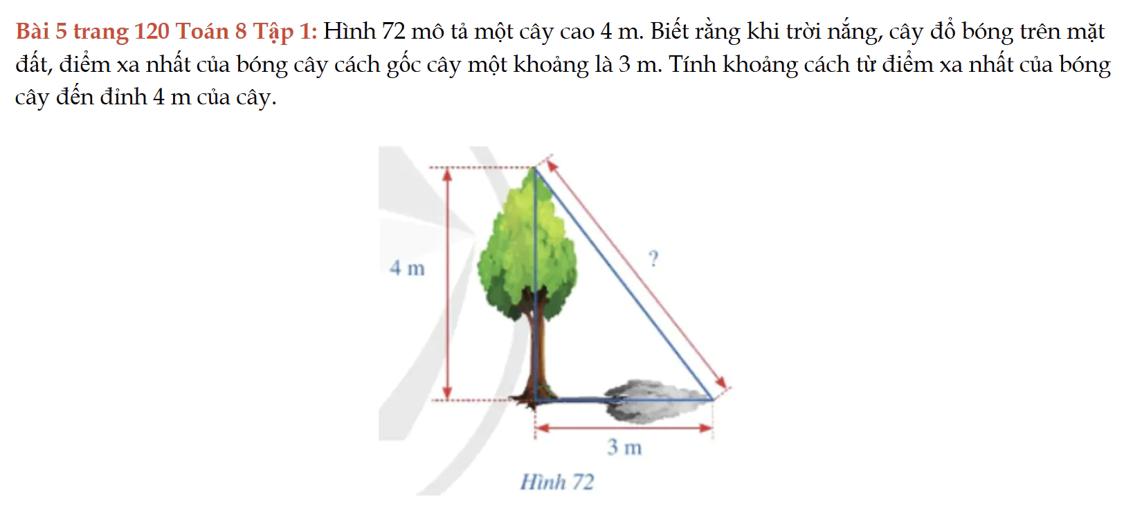 bai-5-trang-120-toan-8-tap-1-5561