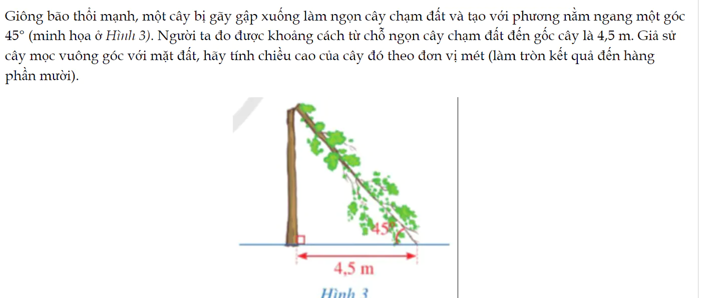 bai-8-trang-54-toan-9-tap-1-2749