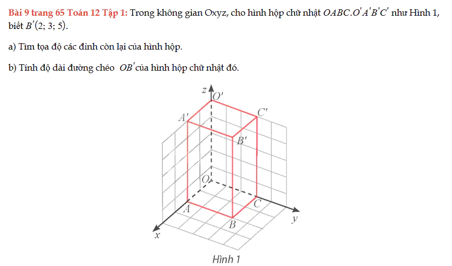 bai-9-trang-65-toan-12-tap-1-1855