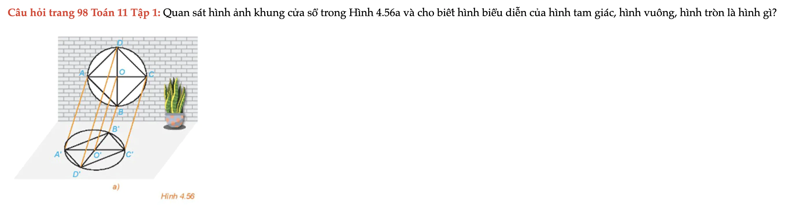 cau-hoi-trang-98-toan-11-tap-1-6792