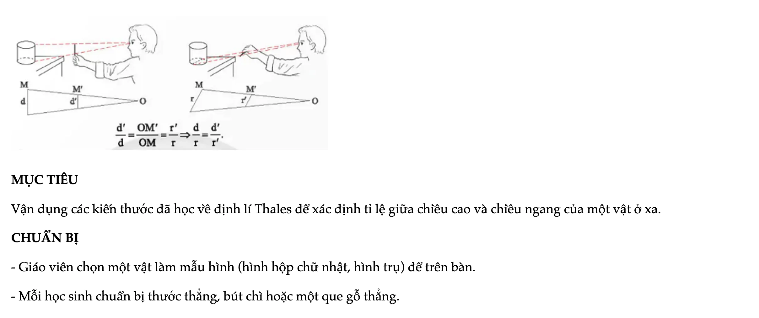 hoat-dong-6-ung-dung-dinh-li-thales-de-uoc-luong-ti-le-giua-chieu-ngang-va-chieu-doc-cua-mot-vat-8413