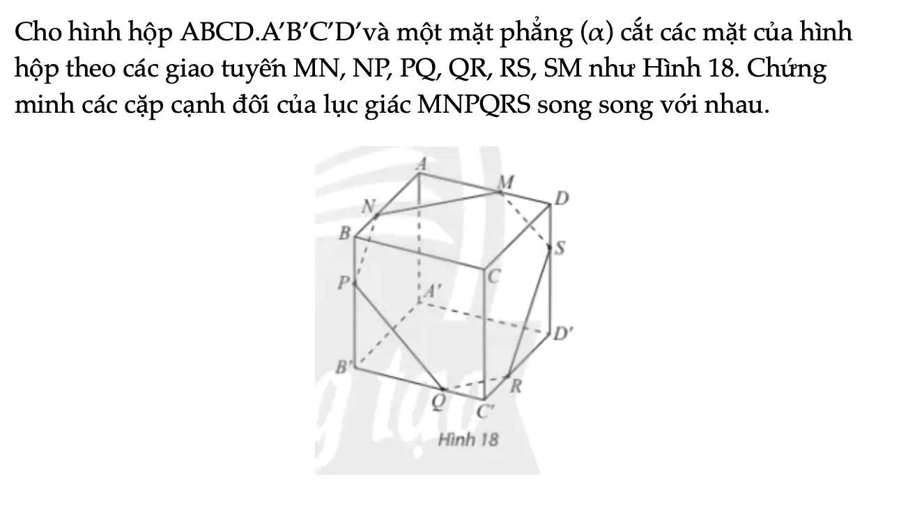 thuc-hanh-4-trang-119-toan-11-tap-1-6975